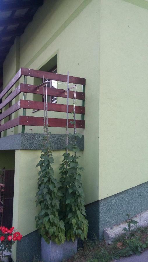 Apartma Juha - Breg pri Borovnici Εξωτερικό φωτογραφία