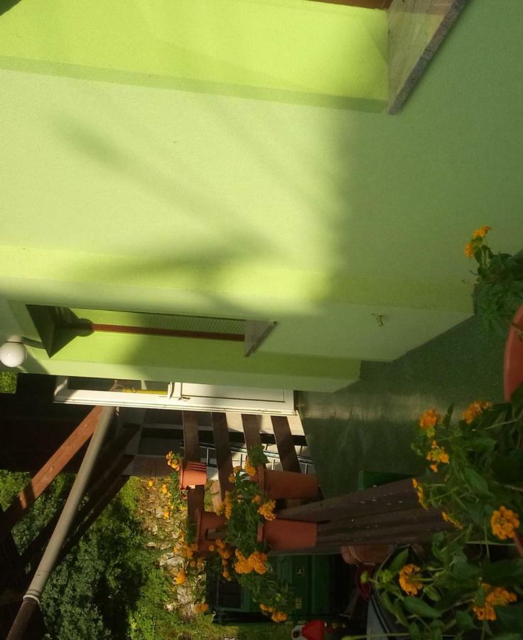 Apartma Juha - Breg pri Borovnici Εξωτερικό φωτογραφία
