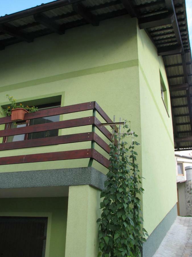 Apartma Juha - Breg pri Borovnici Εξωτερικό φωτογραφία